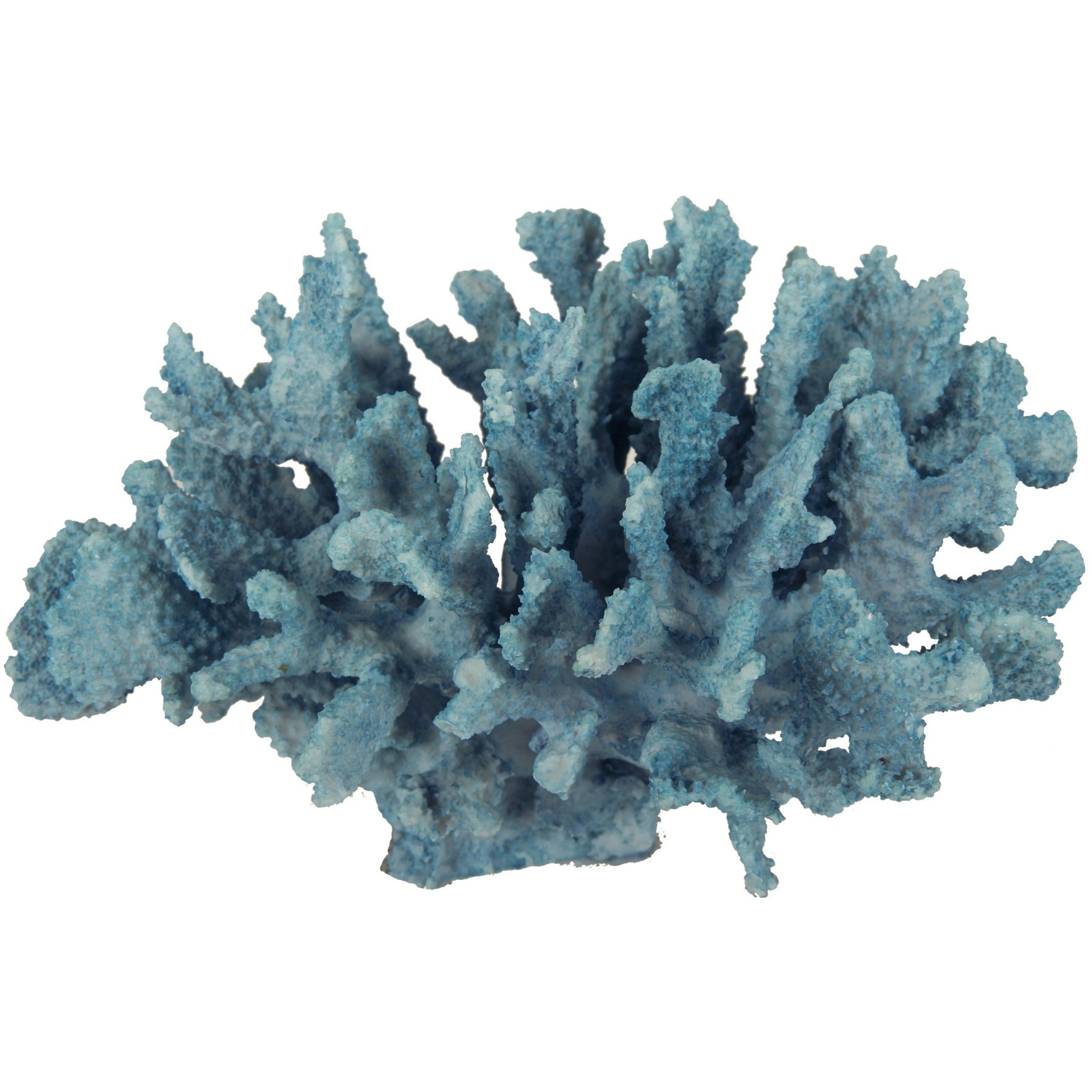 Pax 10 Inch Faux Coral Accent Tabletop Decor, Powder Blue Polyresin