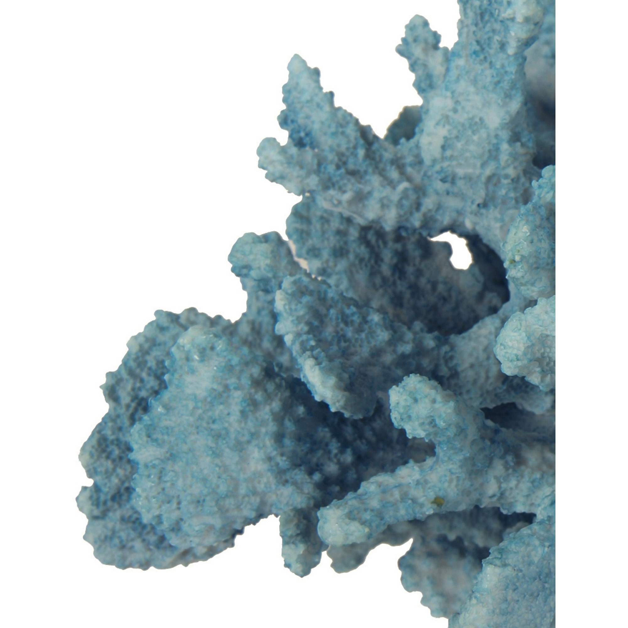 Pax 10 Inch Faux Coral Accent Tabletop Decor, Powder Blue Polyresin