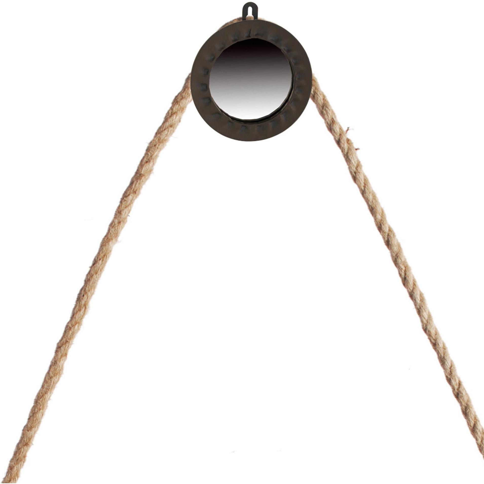 30 Inch Accent Wall Mirror with Rope Hanger and Round Black Metal Frame