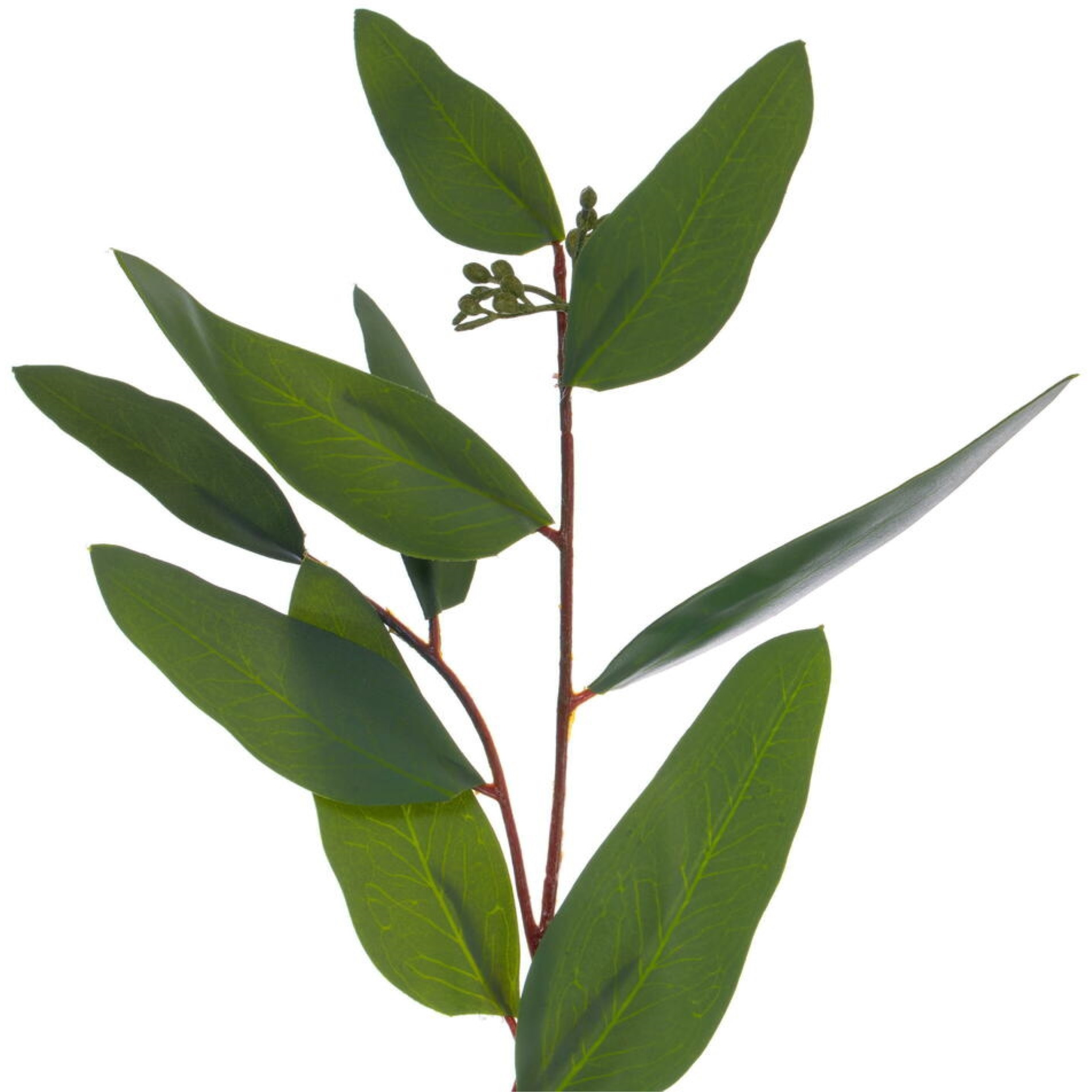 60" Artfcl Grn Seed Wllw Euclypts Garlnd