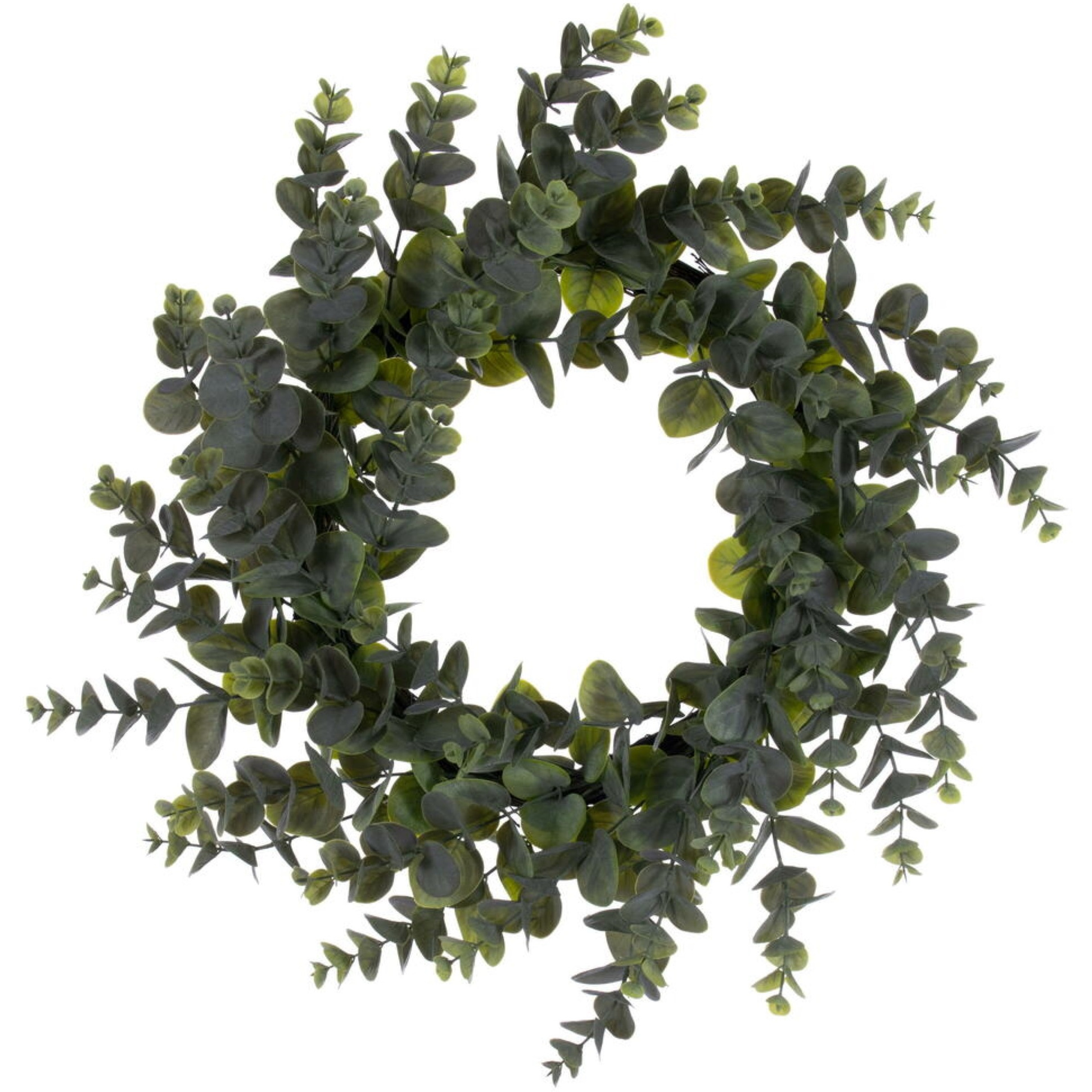 24" Green Spiral Eucalyptus Wreath