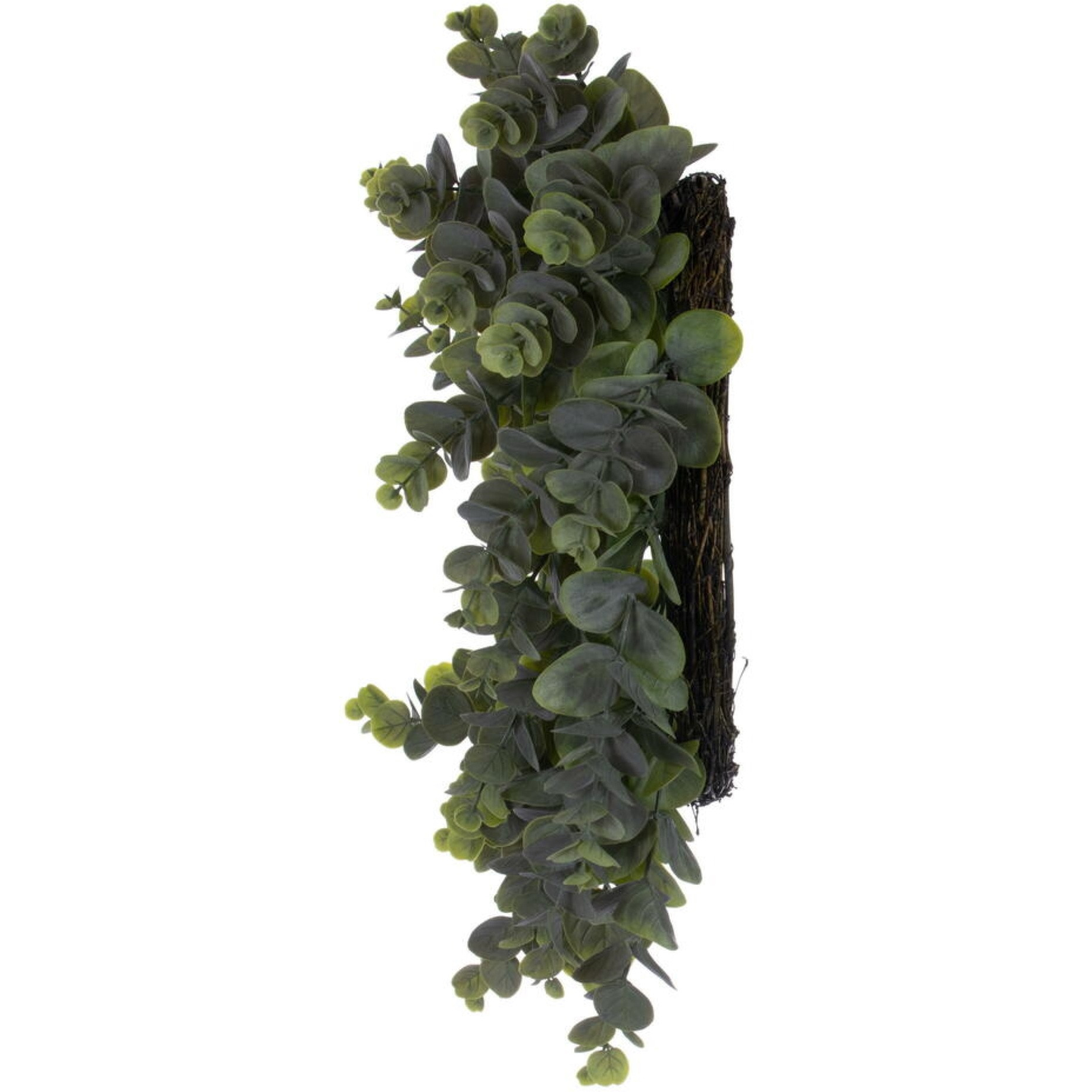24" Green Spiral Eucalyptus Wreath