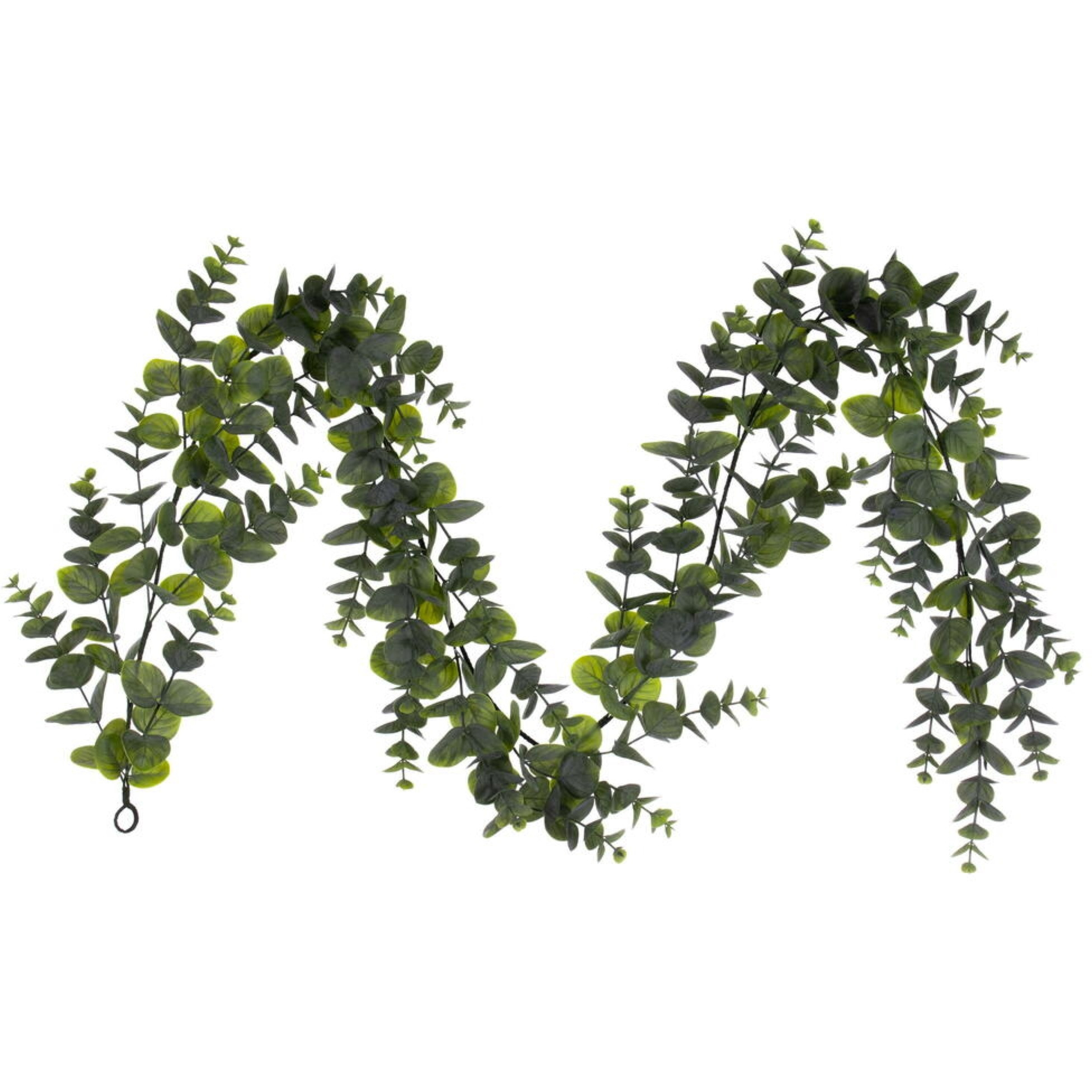 6' Green Spiral Eucalyptus Garland