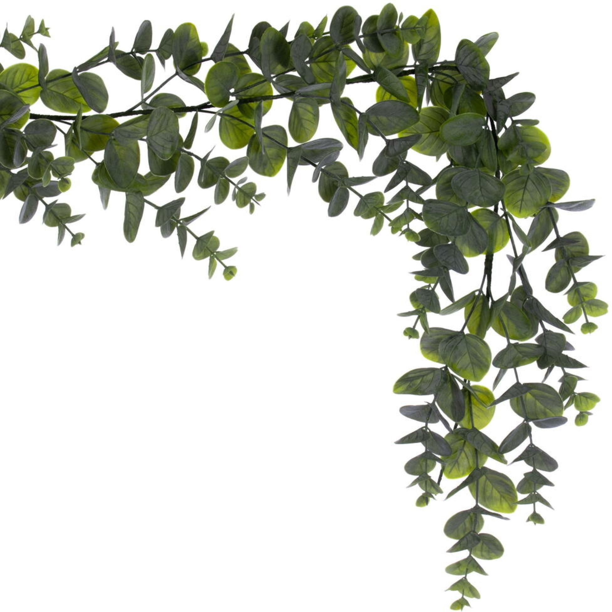 6' Green Spiral Eucalyptus Garland