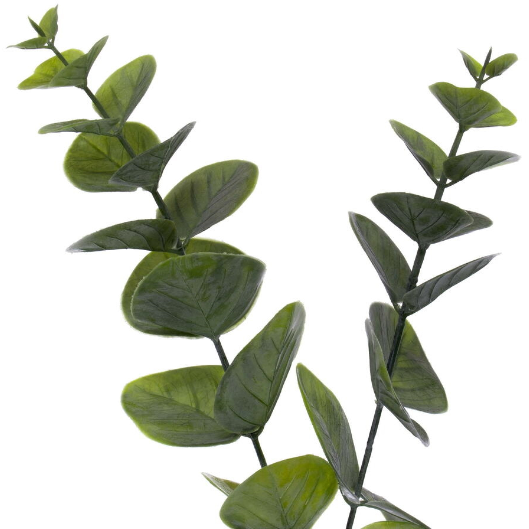 6' Green Spiral Eucalyptus Garland