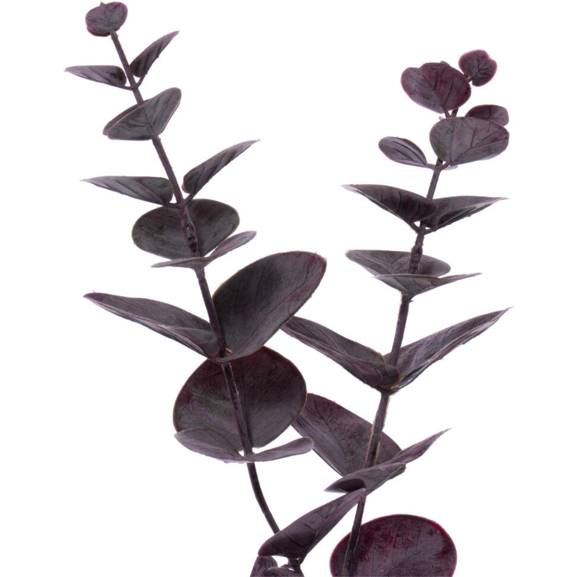 6' Burgundy Spiral Eucalyptus Garland
