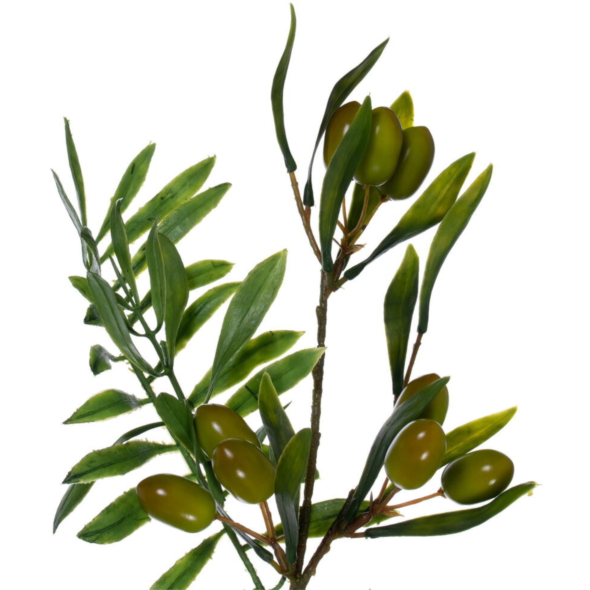 6' Mixed Olive Leaf Garland