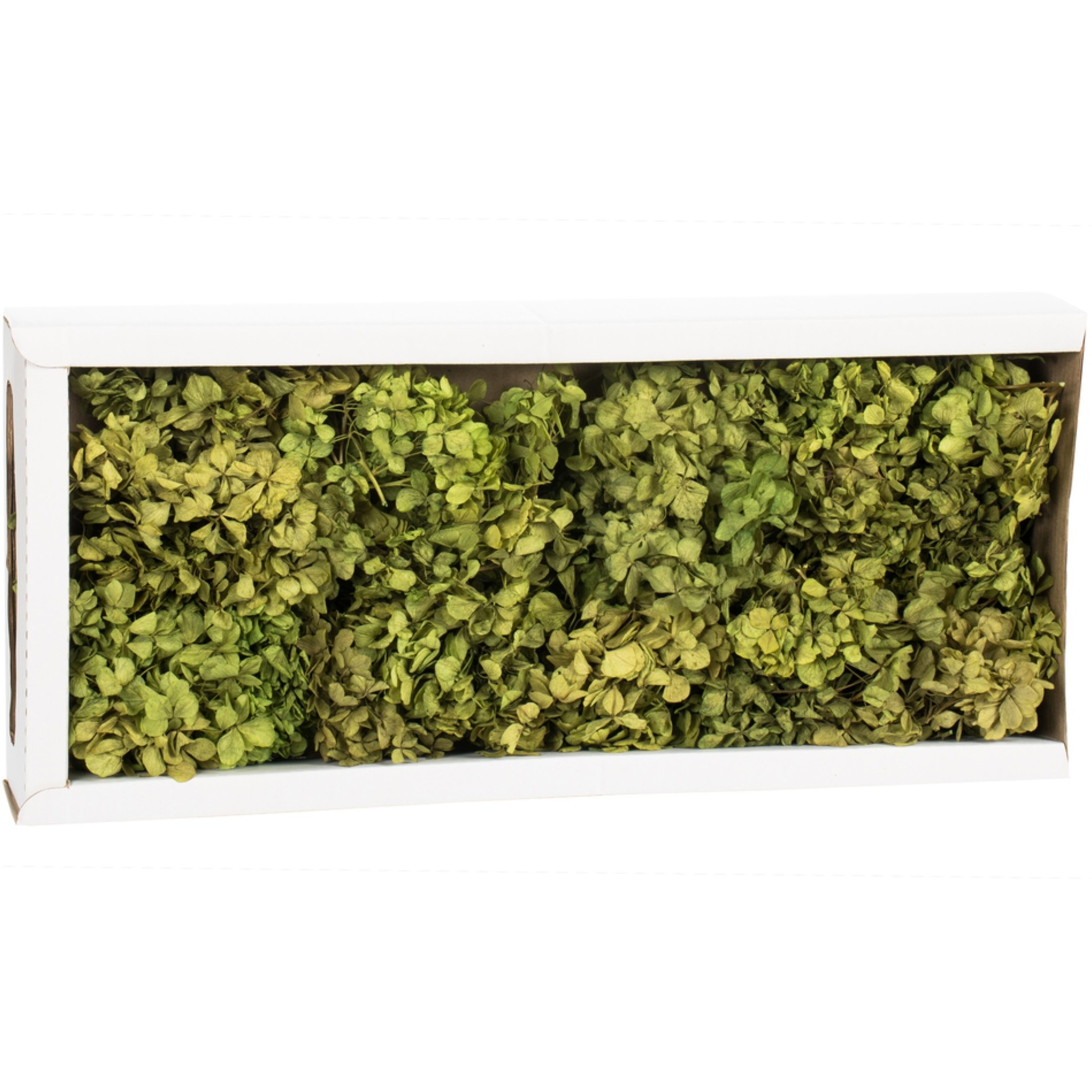 10x3x21" Tray-Basil Hydrangea Pieces