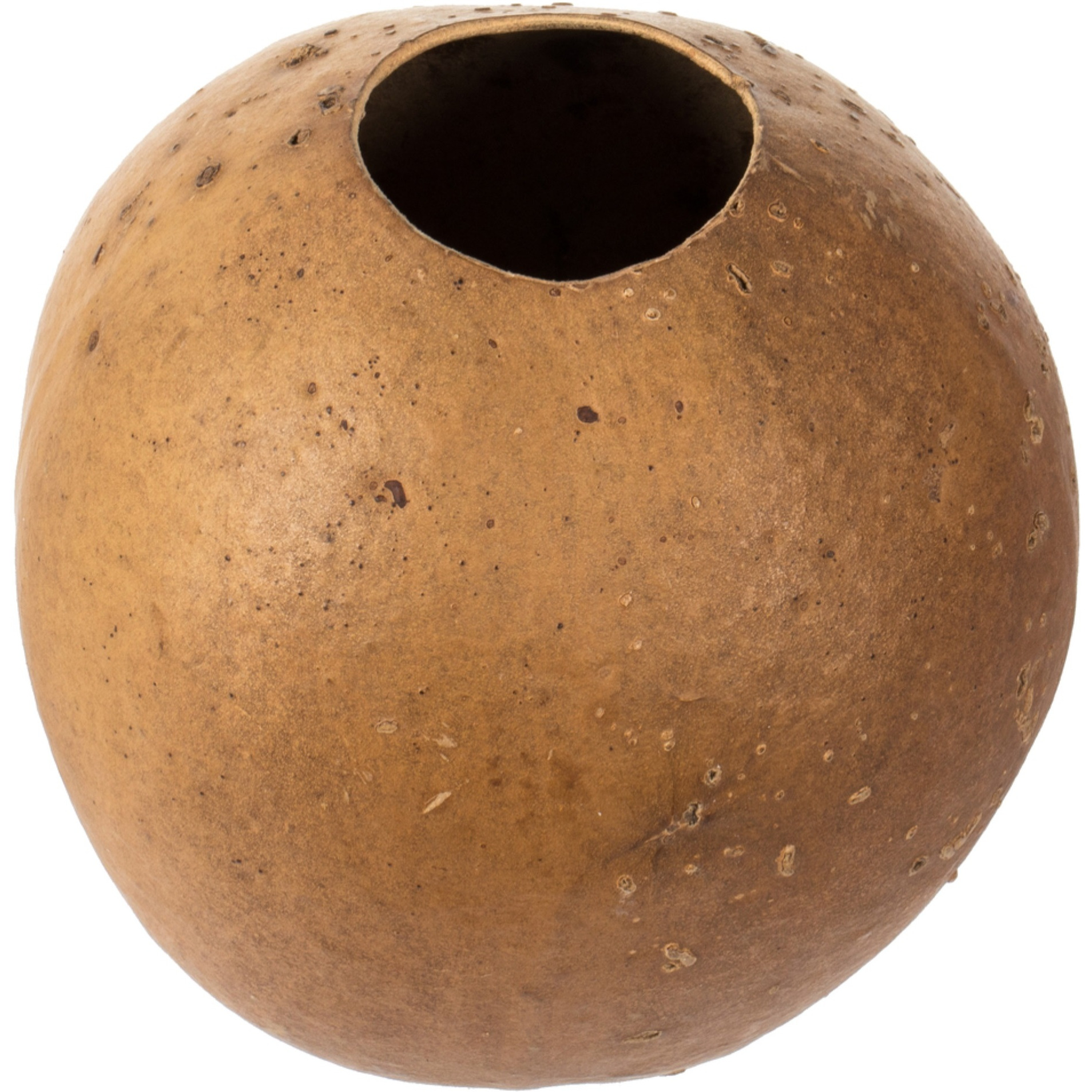 6-7" x 6-8" Natural Bacacuia Gourd 3Pk