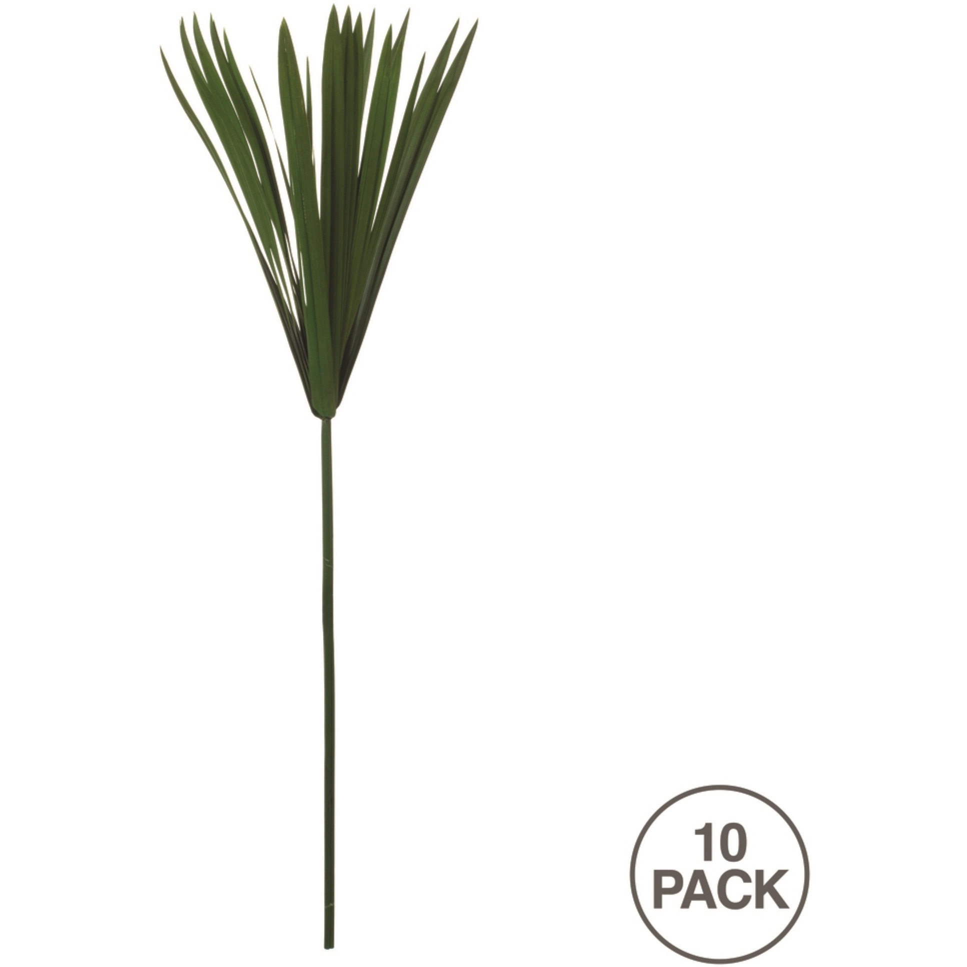 24-30" Green Papyrus 6 Stem Bunch
