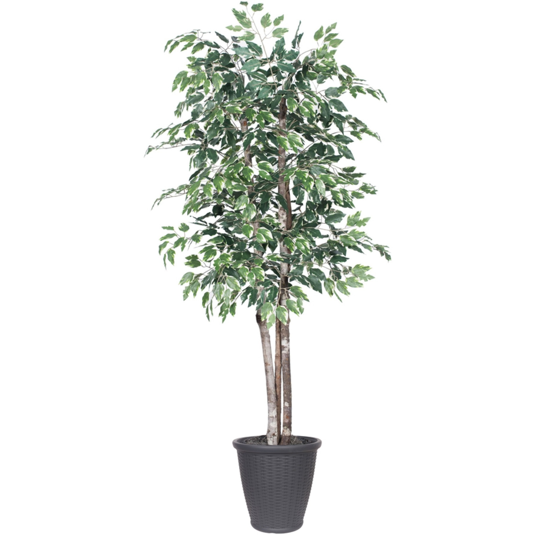 6' Variegated Deluxe Round Gray Cont