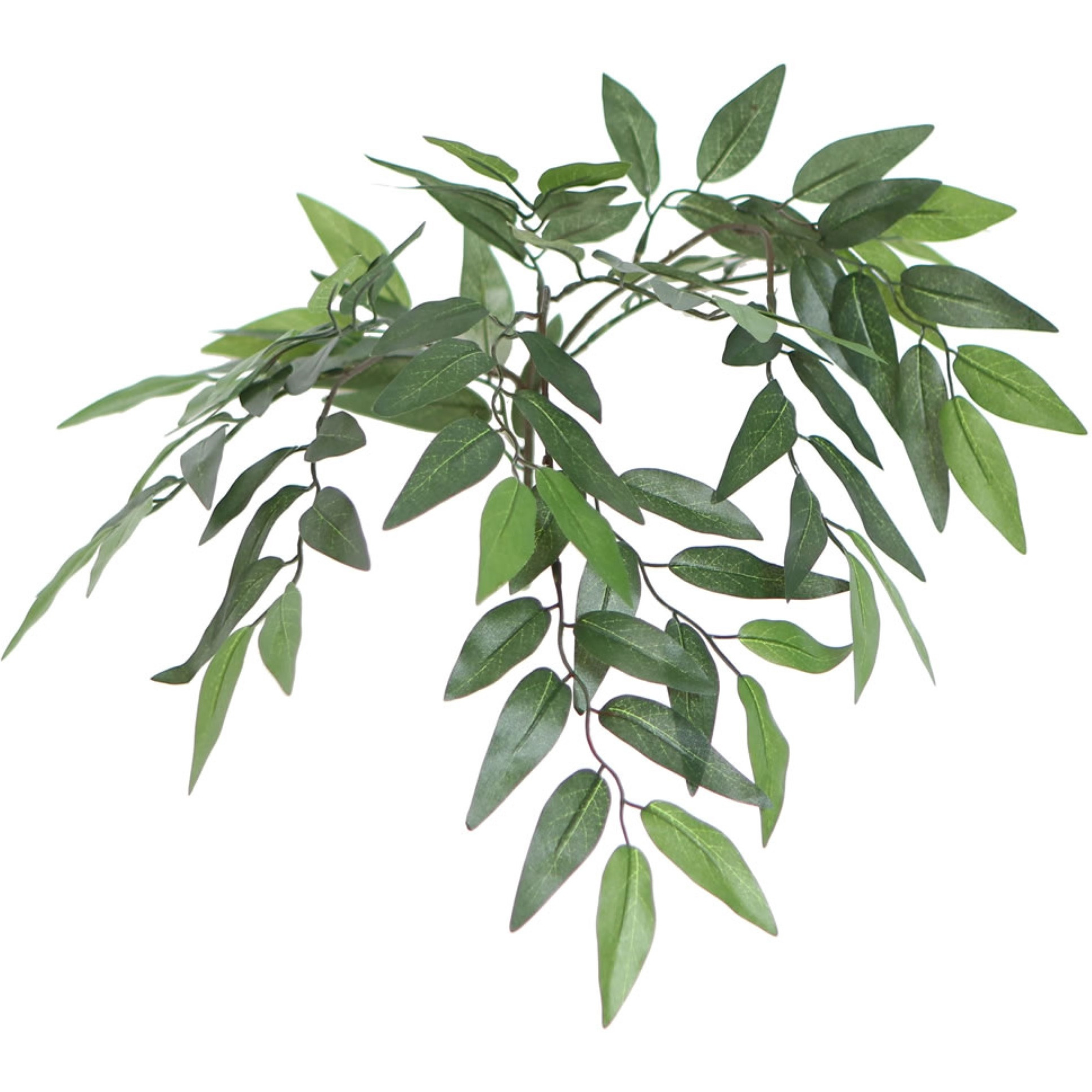 6' Green Smilax Executive Rnd Brown Cont