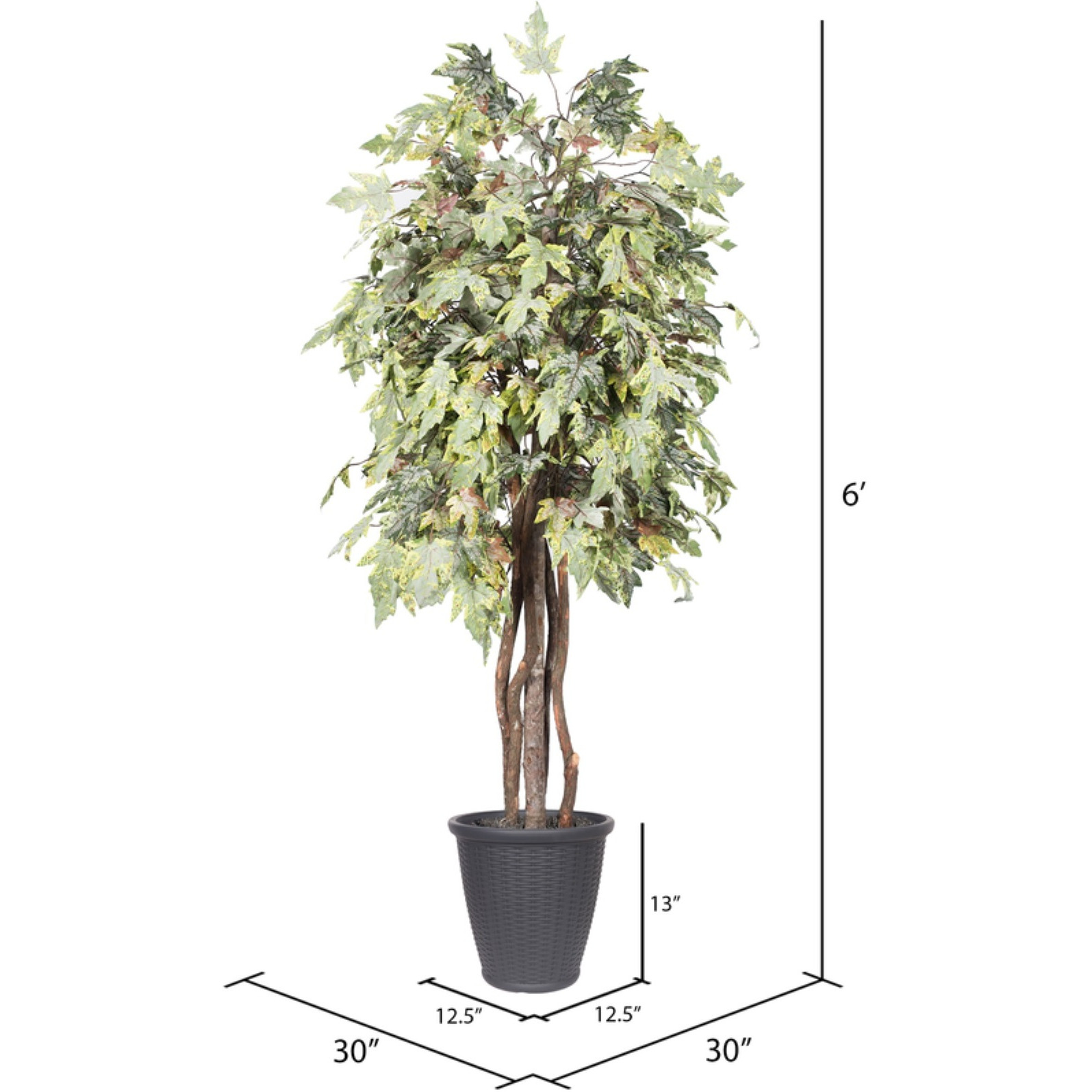 6' Frosted Maple Executive Rnd Gray Cont