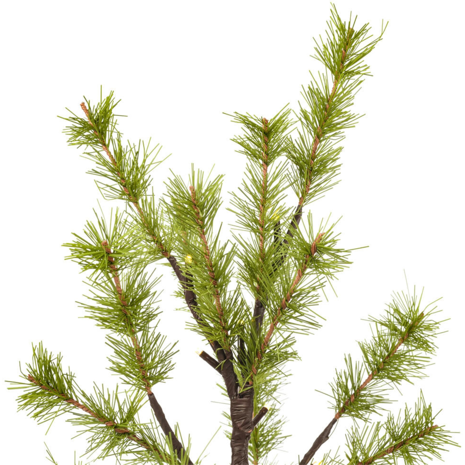 2' Green Mini Pine Twig  LED 24WW B/O