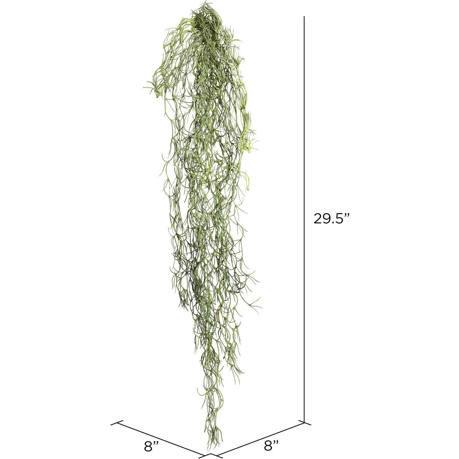 Vickerman 29.5" Tillandsia Root Pk/3 - FE173301-3