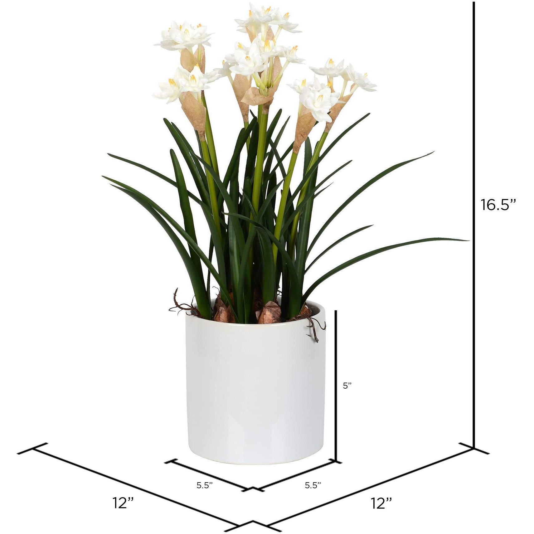 Vickerman 16.5" White Daffodil in Ceramic Pot - FJ180301