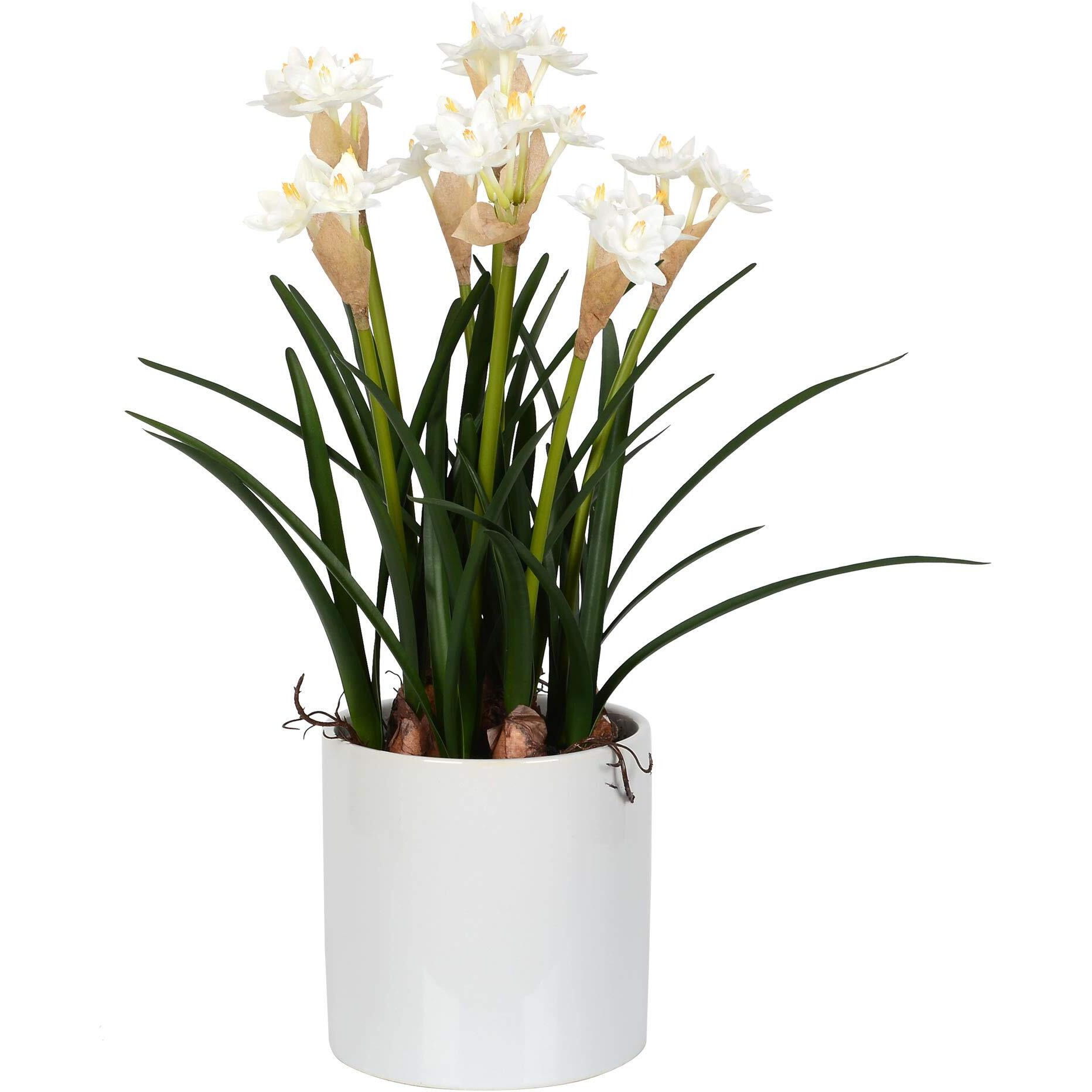 Vickerman 16.5" White Daffodil in Ceramic Pot - FJ180301