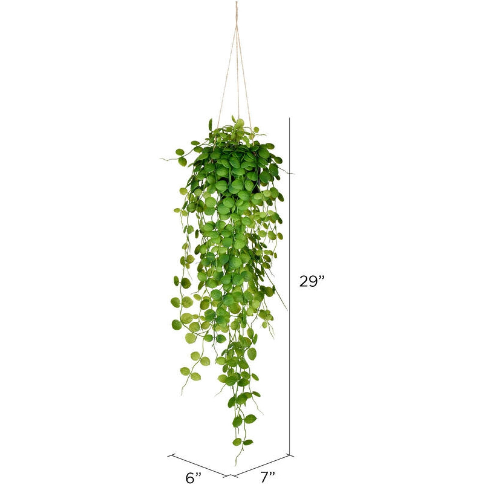 Vickerman 29" Artificial Green Mini Leaf Ivy in Hanging Pot.