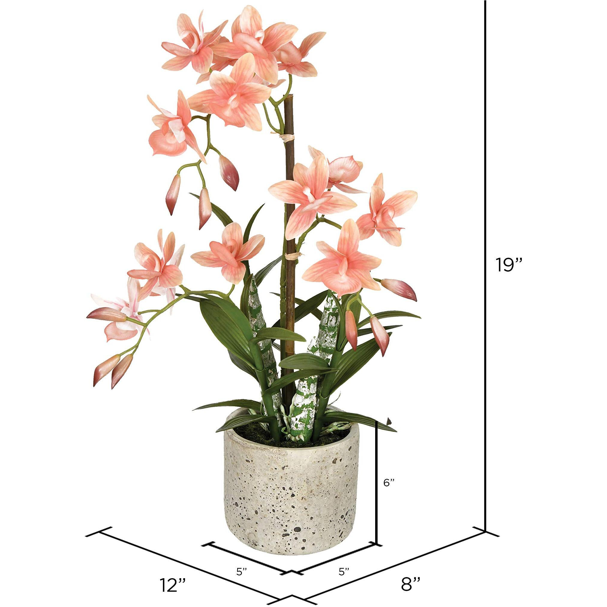 Vickerman 19" Orange Cycnoches in Pot - FN190602