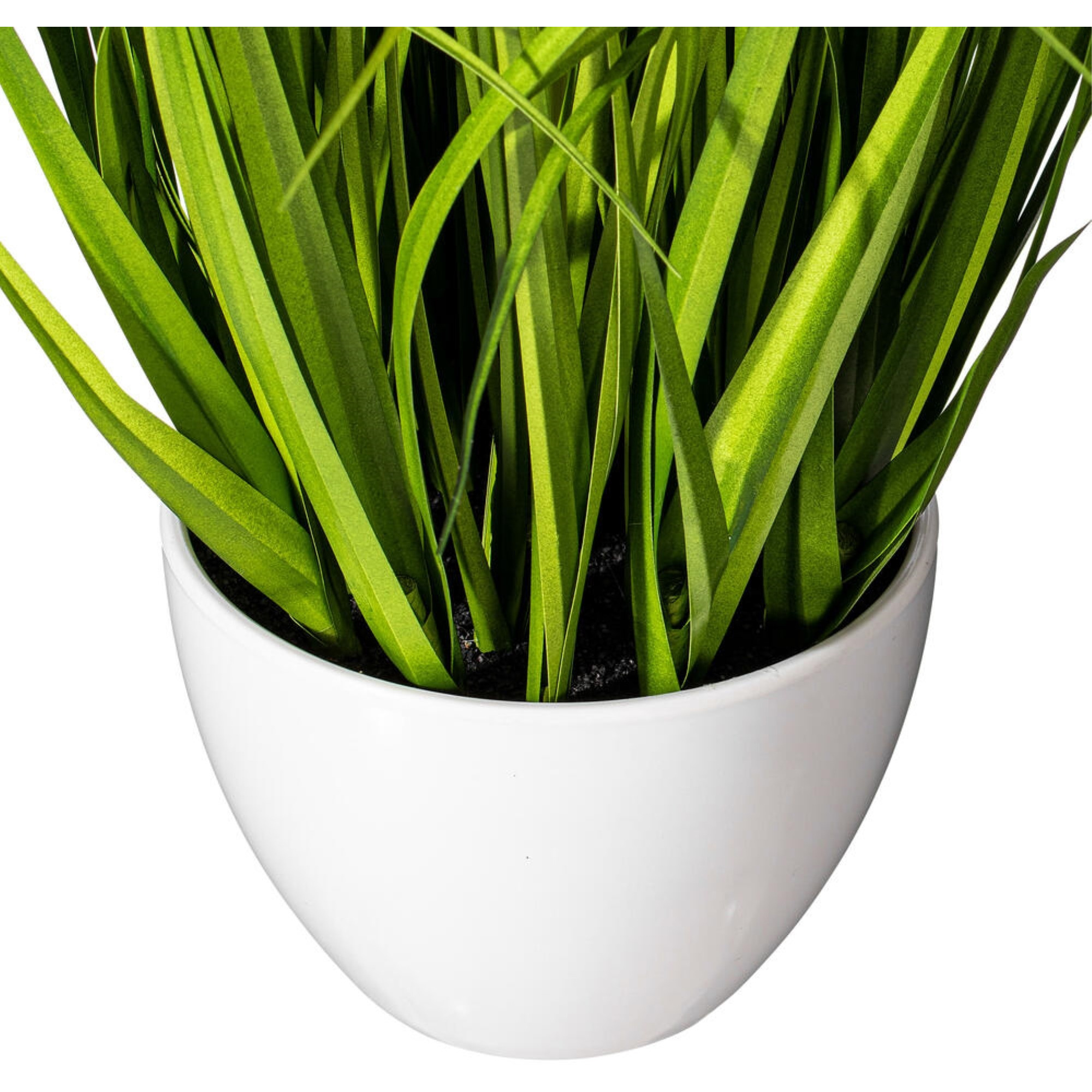 Vickerman 22.5" Artificial Potted Yellow Cosmos and Green Grass.