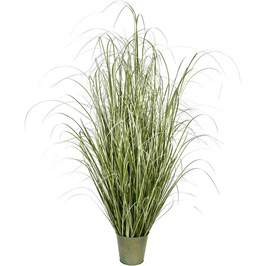 Vickerman 59" Native Green Grass In Iron Pot - TD190560