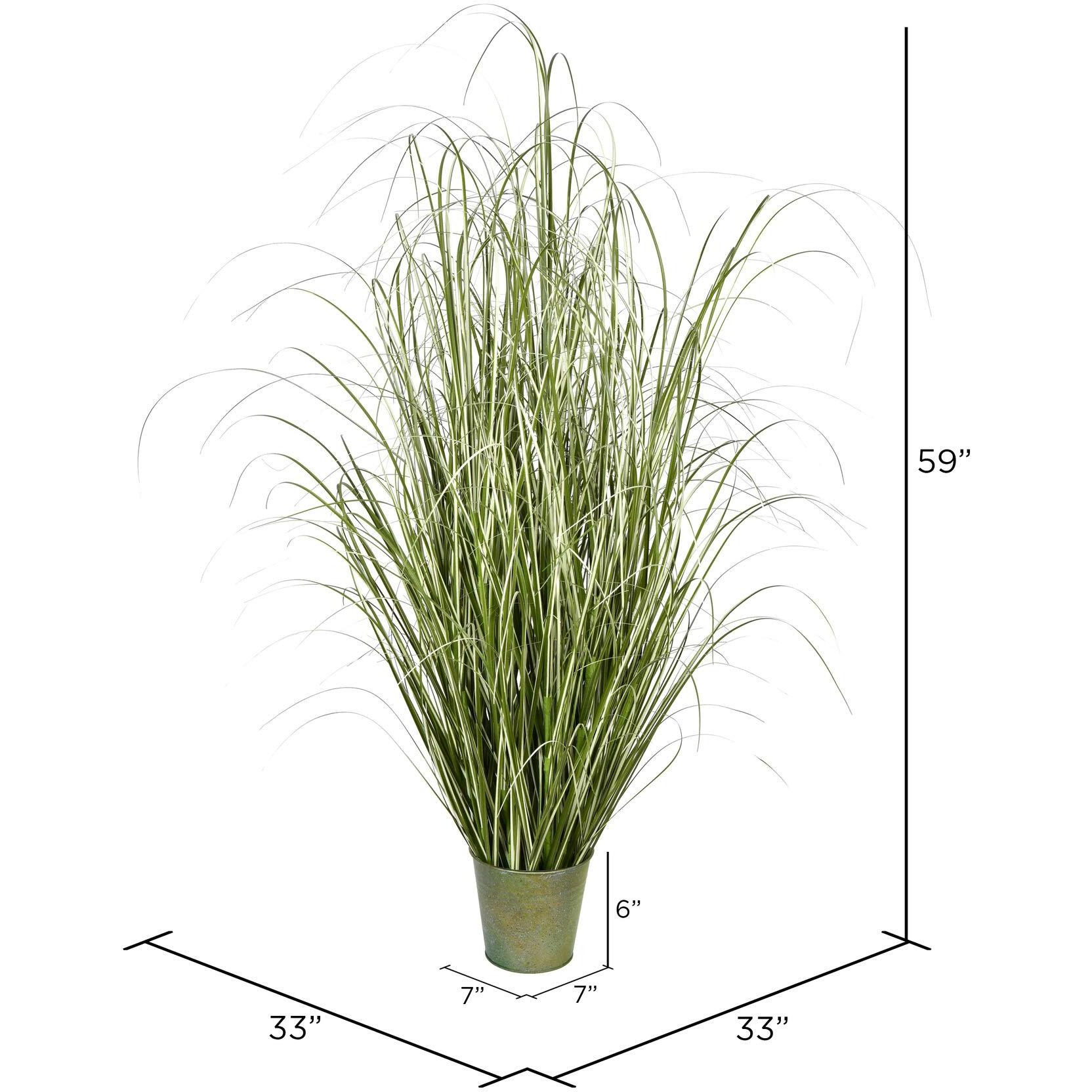 Vickerman 59" Native Green Grass In Iron Pot - TD190560