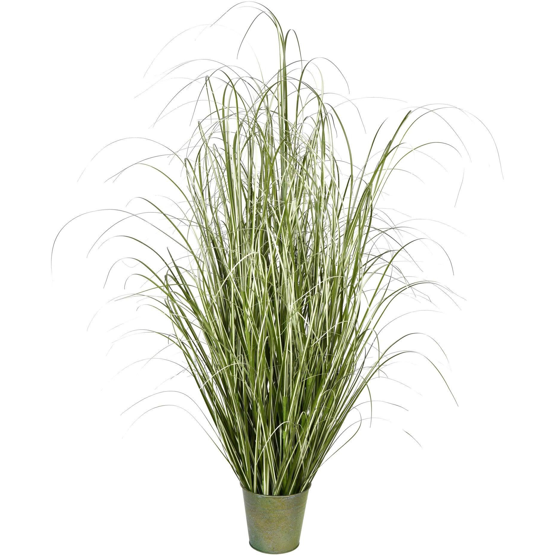 Vickerman 59" Native Green Grass In Iron Pot - TD190560