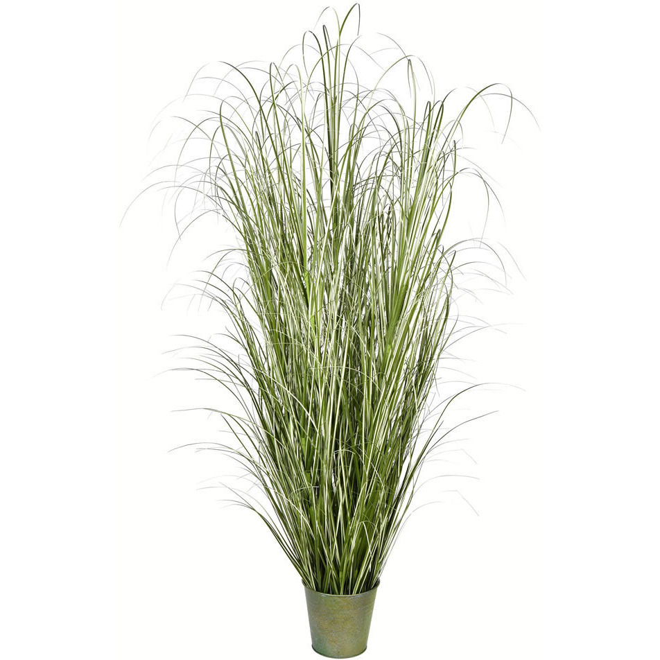 Vickerman 72" Native Green Grass In Iron Pot - TD190572