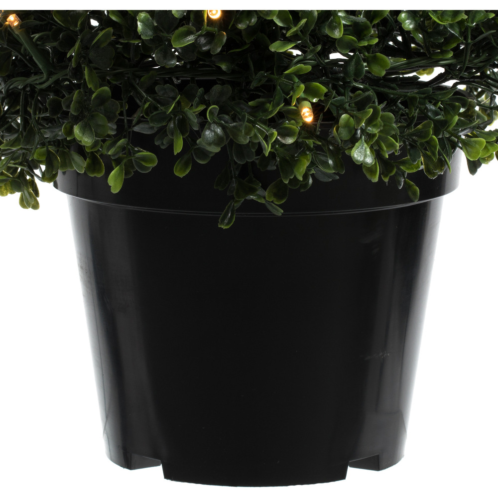 Vickerman 5' Potted Boxwood Cone 150 WmWht LED UV - TP192061LED