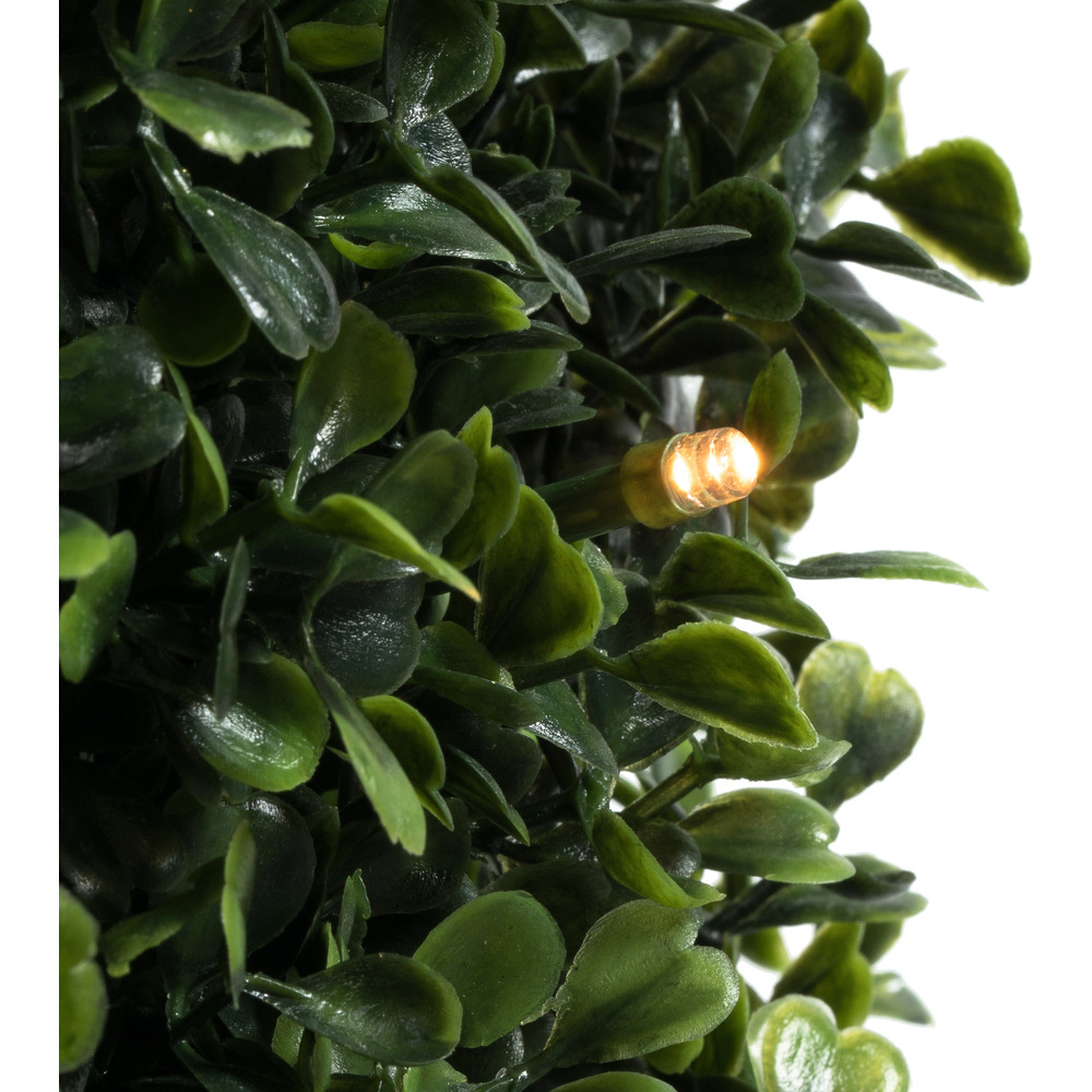Vickerman 5' Potted Boxwood Cone 150 WmWht LED UV - TP192061LED