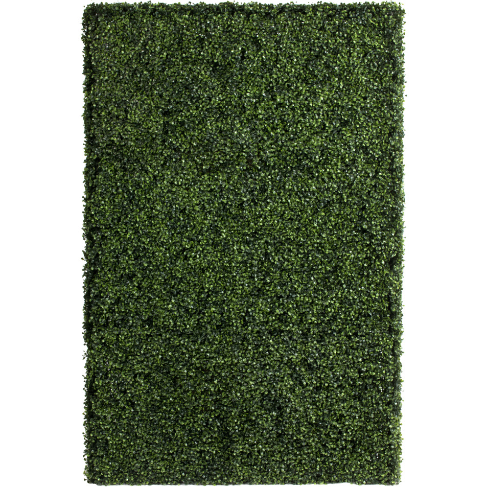 Vickerman 72" x 16" x 48" Boxwood Hedge UV - TP194272