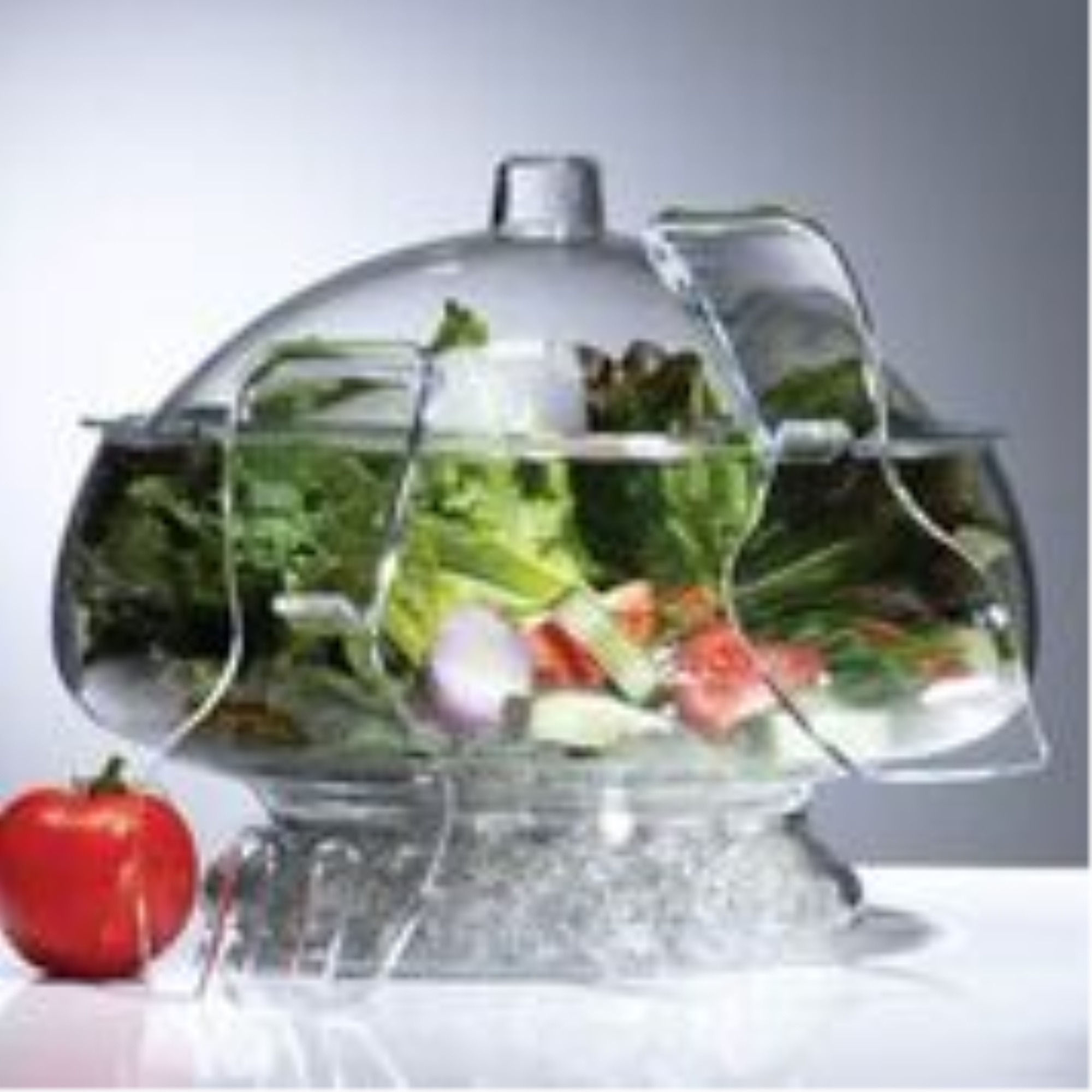 PRODYNE AB3D SALAD ON ICE ACRYLIC WITH DOME LID CRYSTAL CLEAR