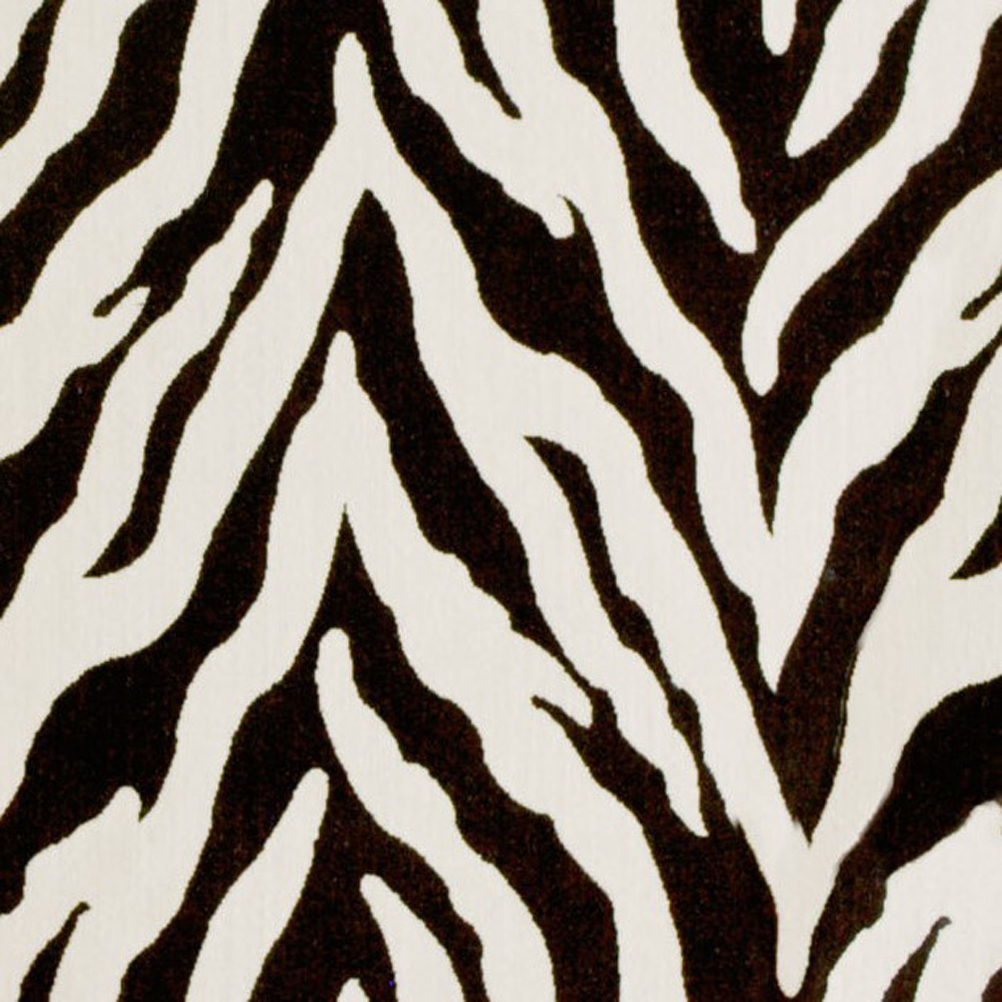 Plutus Ebony/Ivory Zebra Zebra Print Velvet Luxury Throw Pillow - Double sided  20" x 20"