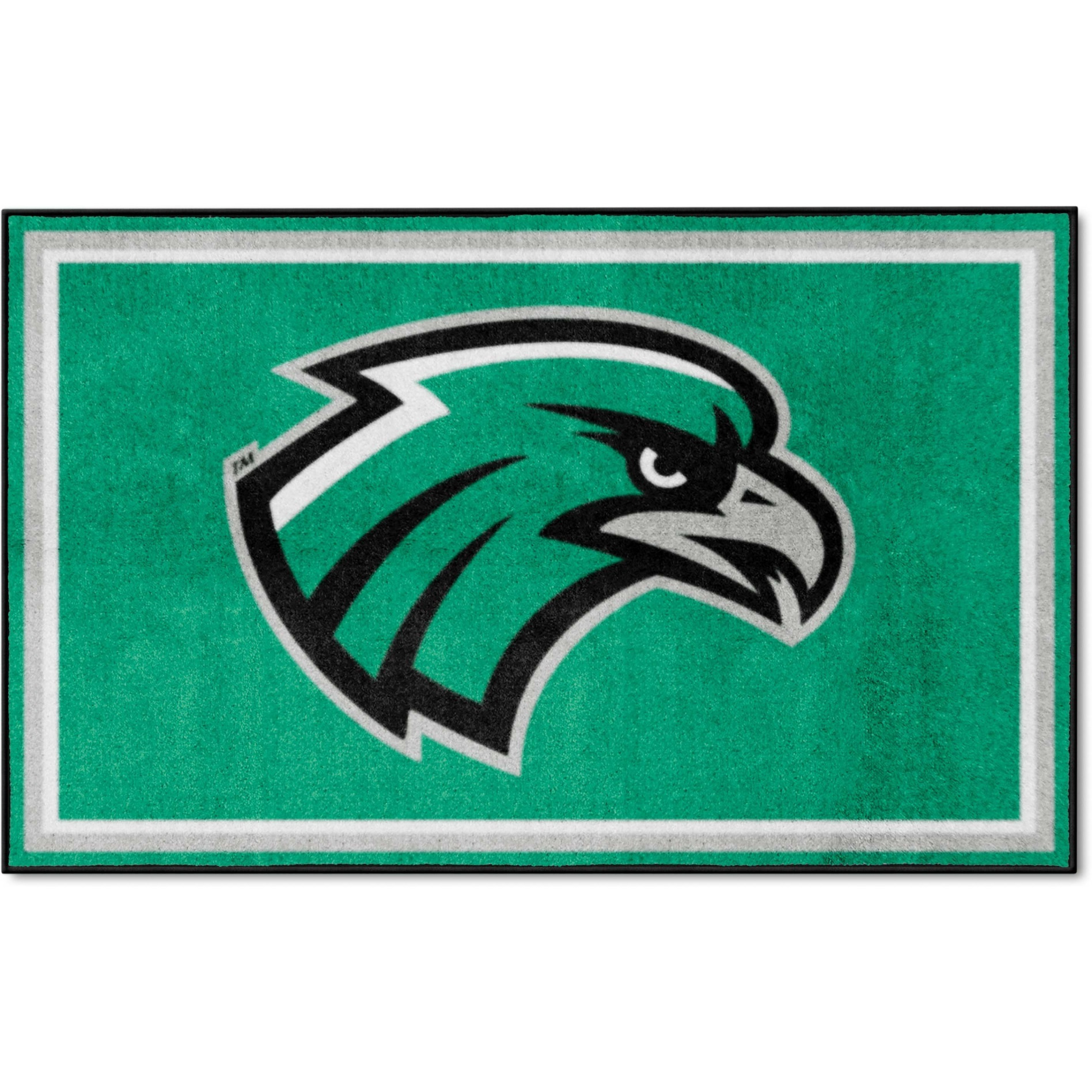 Northeastern State Riverhawks 4ft. x 6ft. Plush Area Rug