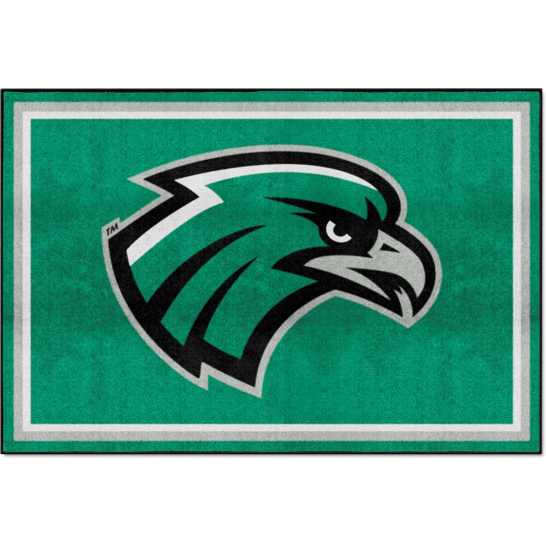 Northeastern State Riverhawks 5ft. x 8 ft. Plush Area Rug