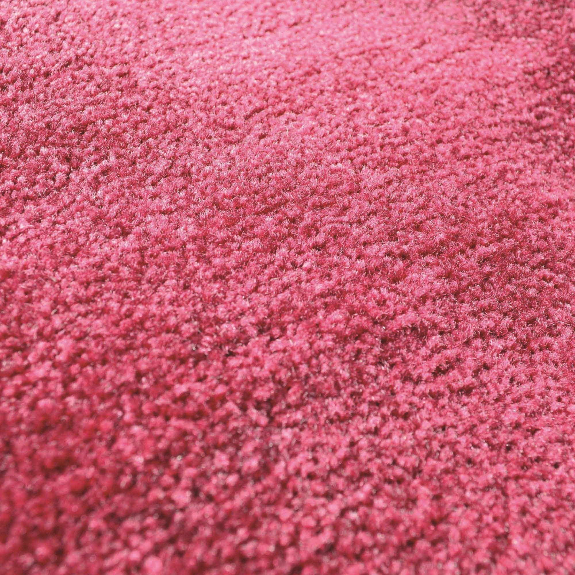 South Carolina Gamecocks 5ft. x 8 ft. Plush Area Rug