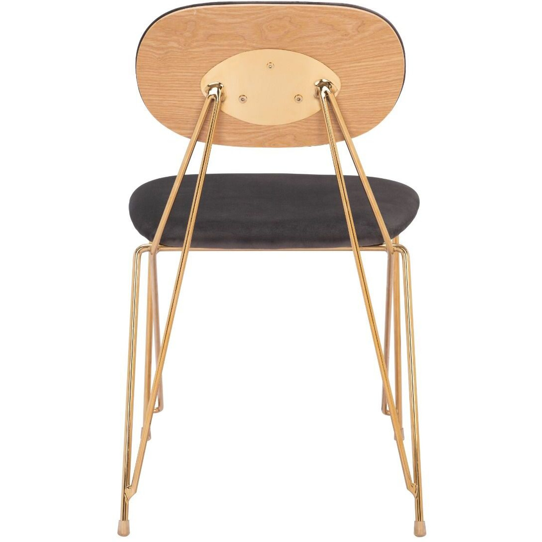 Georges Dining Chair (Set of 2) Gray & Gold