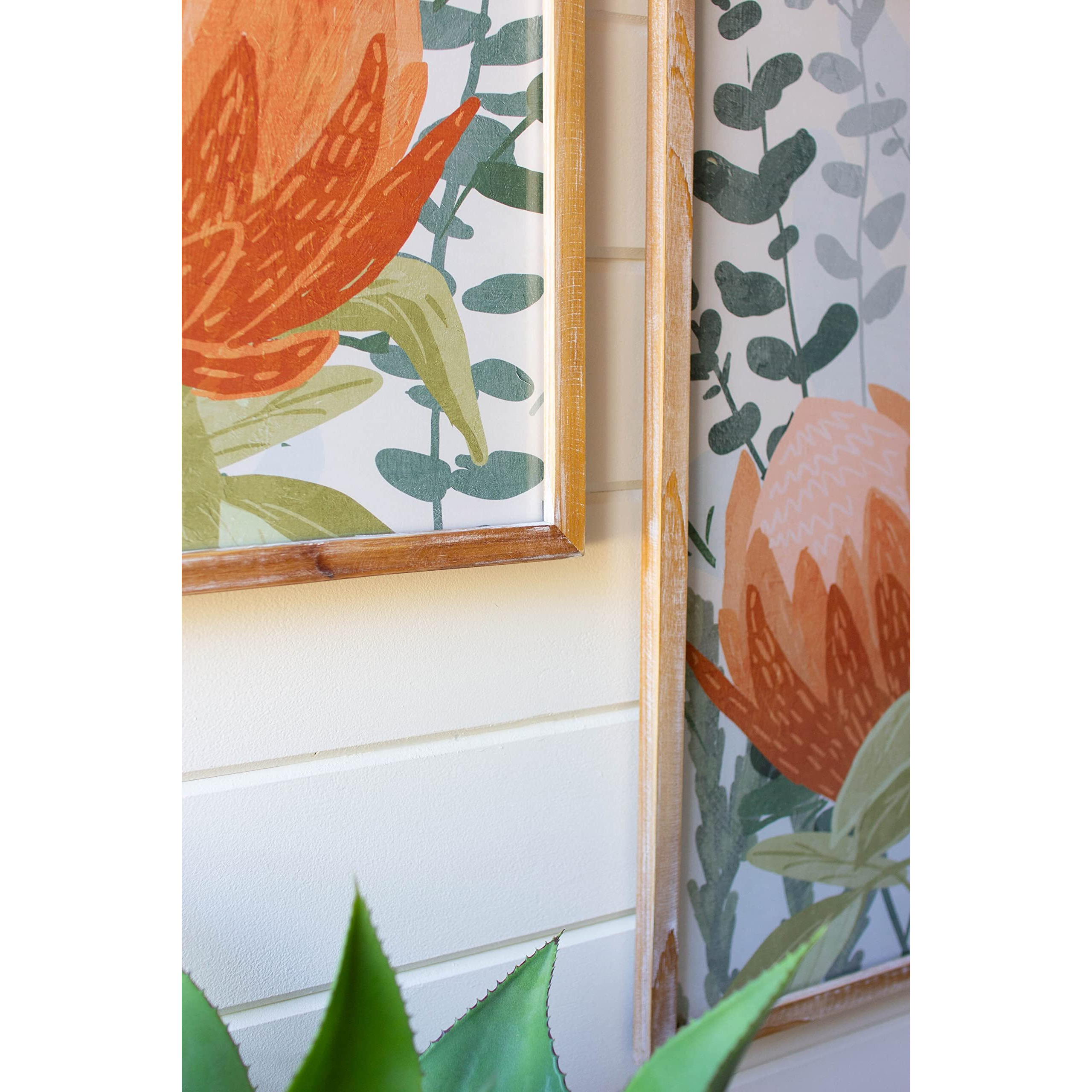 SET OF TWO FRAMED PRINTS UNDER GLASS - PROTEA