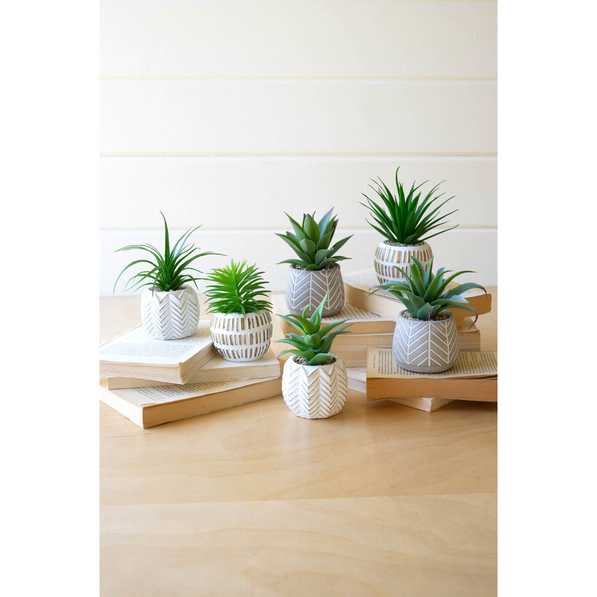 SET OF SIX ARTIFICIAL SUCCULENTS IN CEMENT POTS