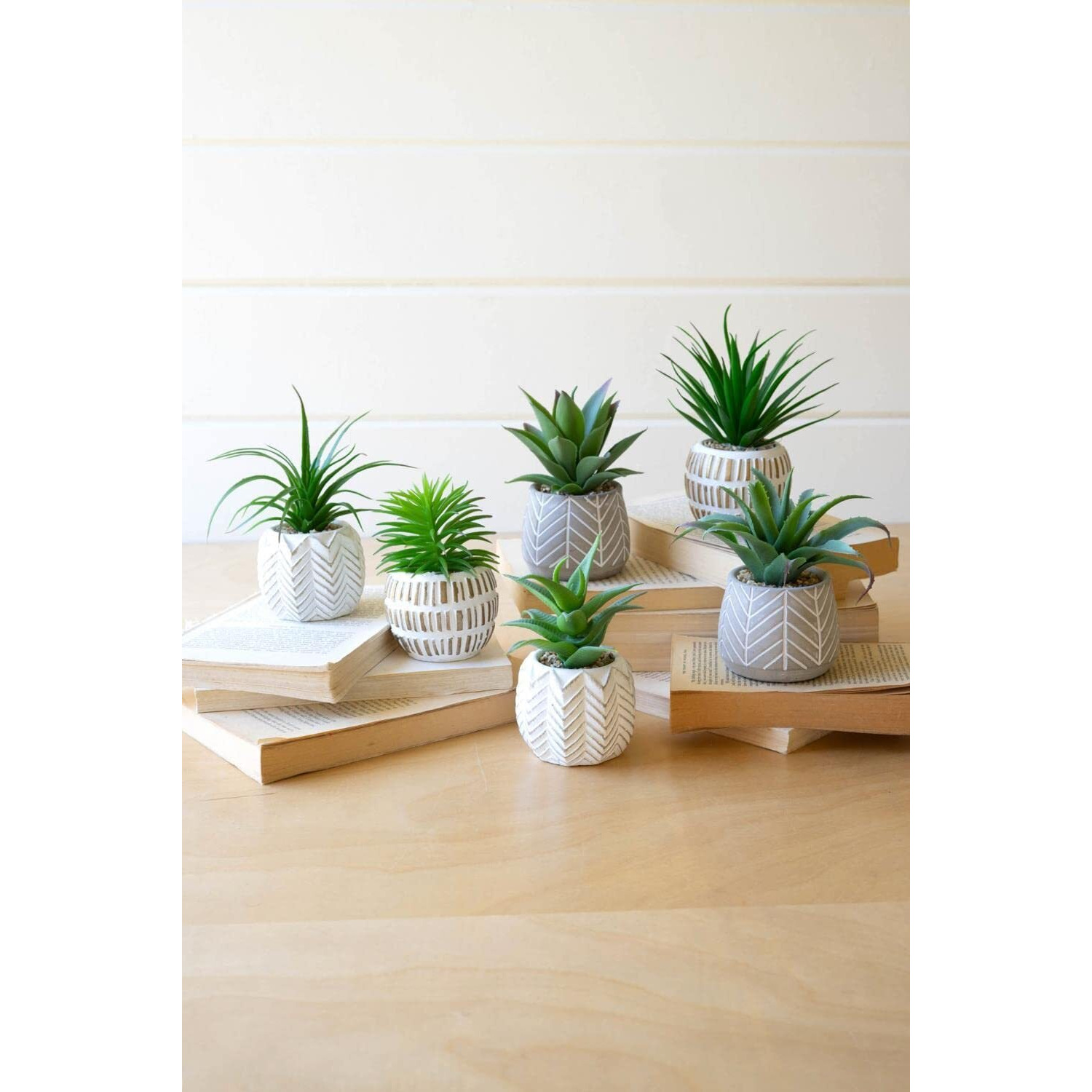 SET OF SIX ARTIFICIAL SUCCULENTS IN CEMENT POTS