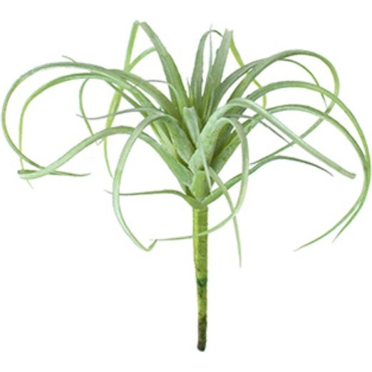 SMALL ARTIFICIAL AIR PLANT