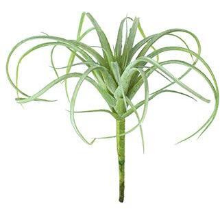 SMALL ARTIFICIAL AIR PLANT