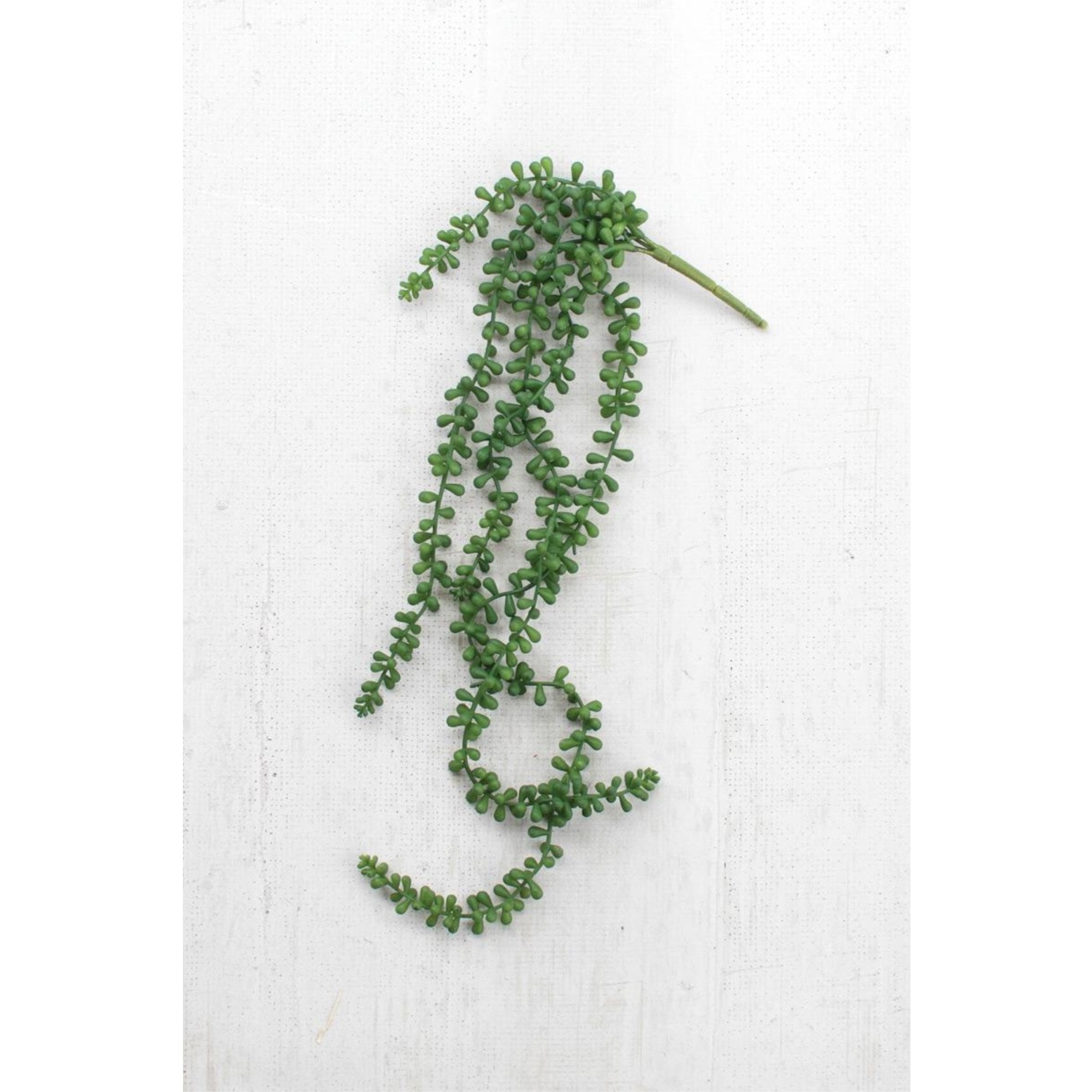 ARTIFICIAL NECKLACE FERN SUCCULENT