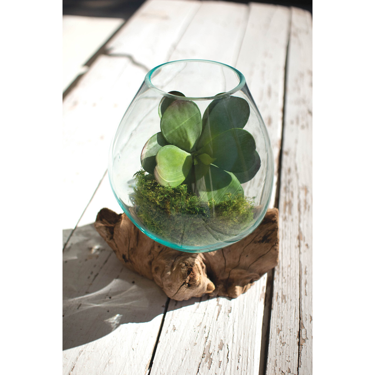 BLOWN GLASS BOWL ON DRIFTWOOD BASE - LARGE