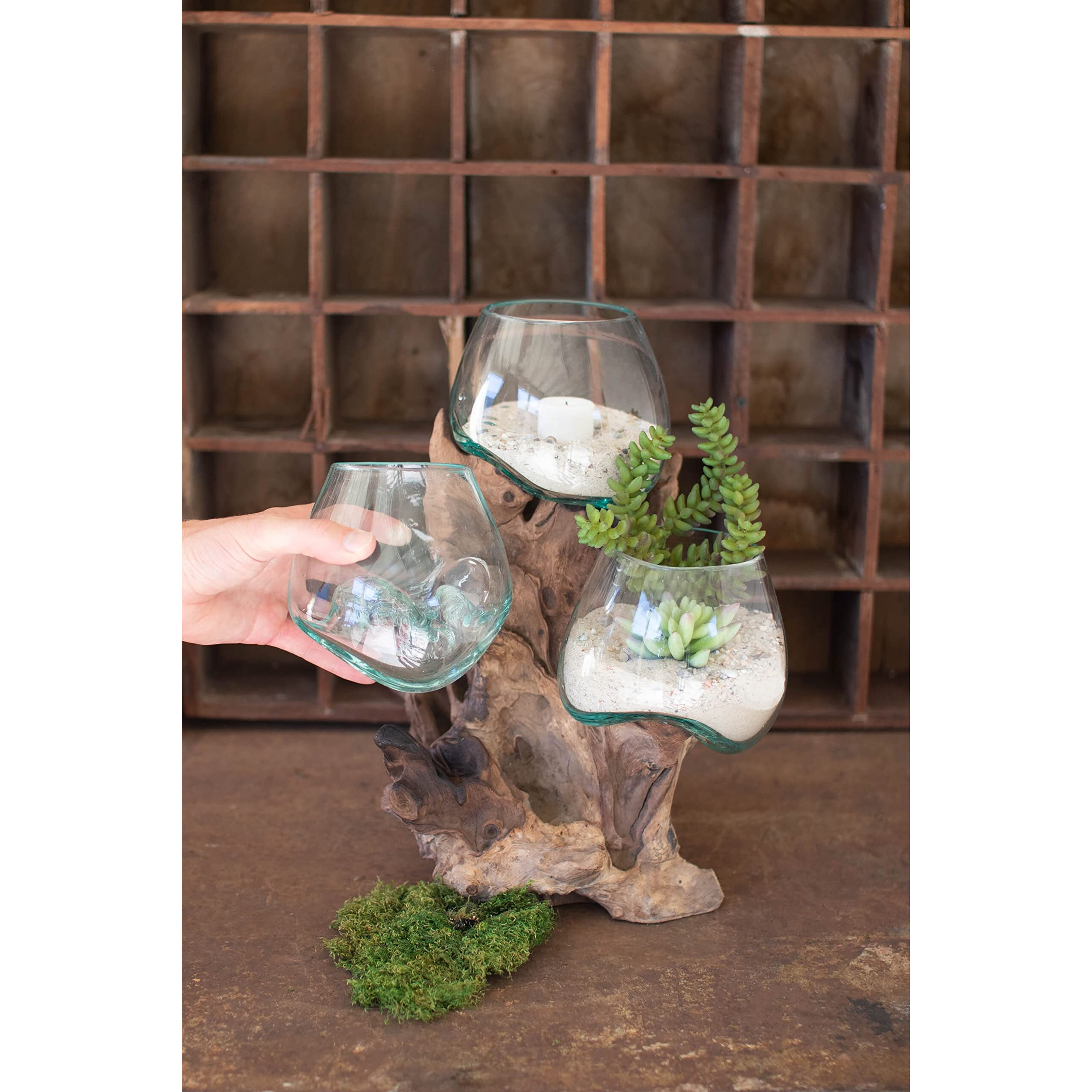THREE BLOWN GLASS BOWLS ON A DRIFTWOOD BASE