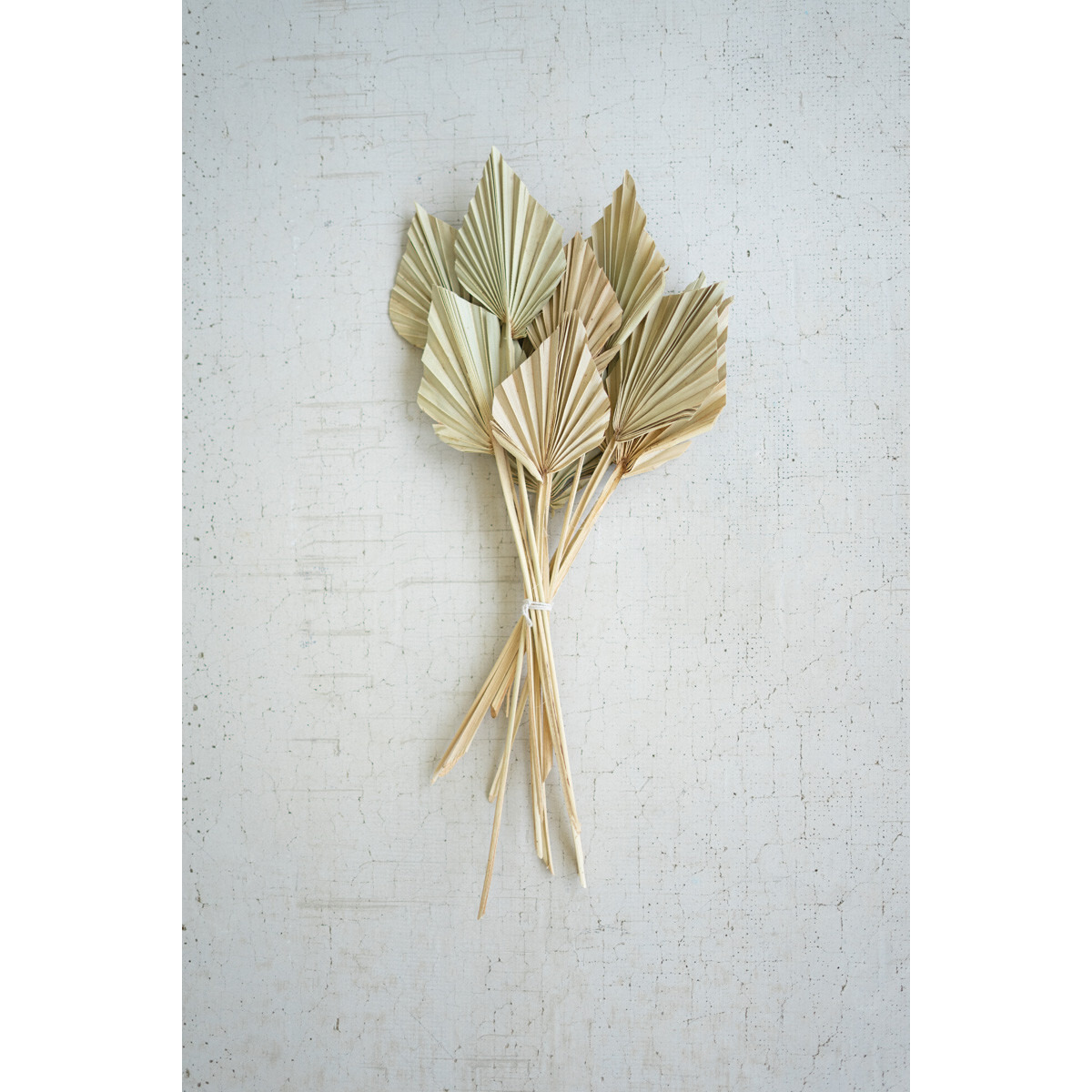 BUNDLE OF 12 MINI PALM SPEARS