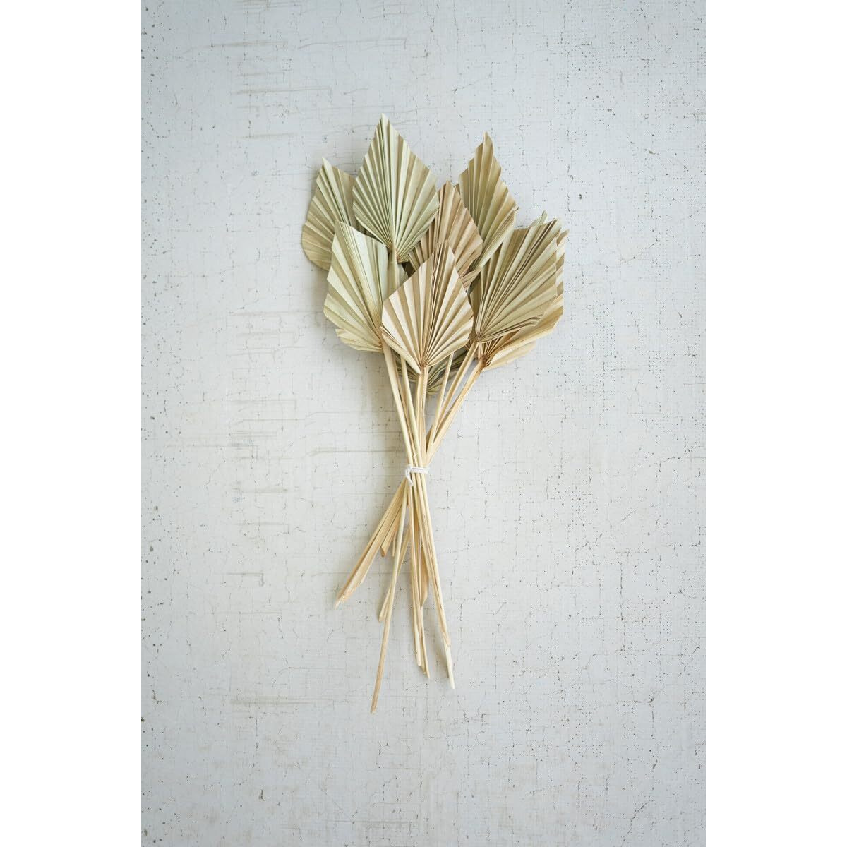 BUNDLE OF 12 MINI PALM SPEARS