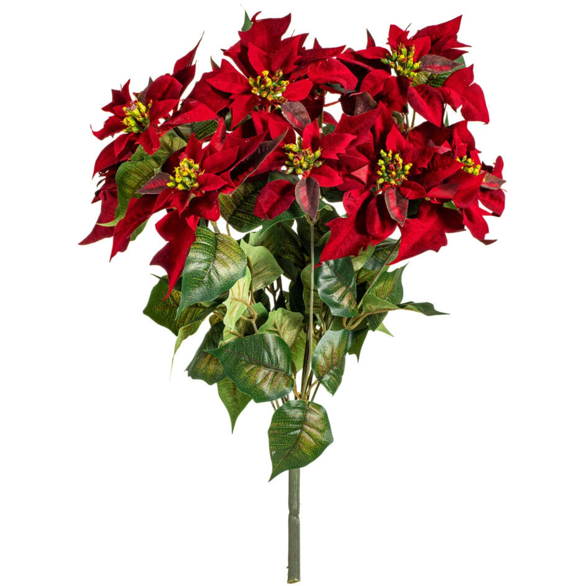 Vickerman 18" Red Poinsettia and Leaf Bush.