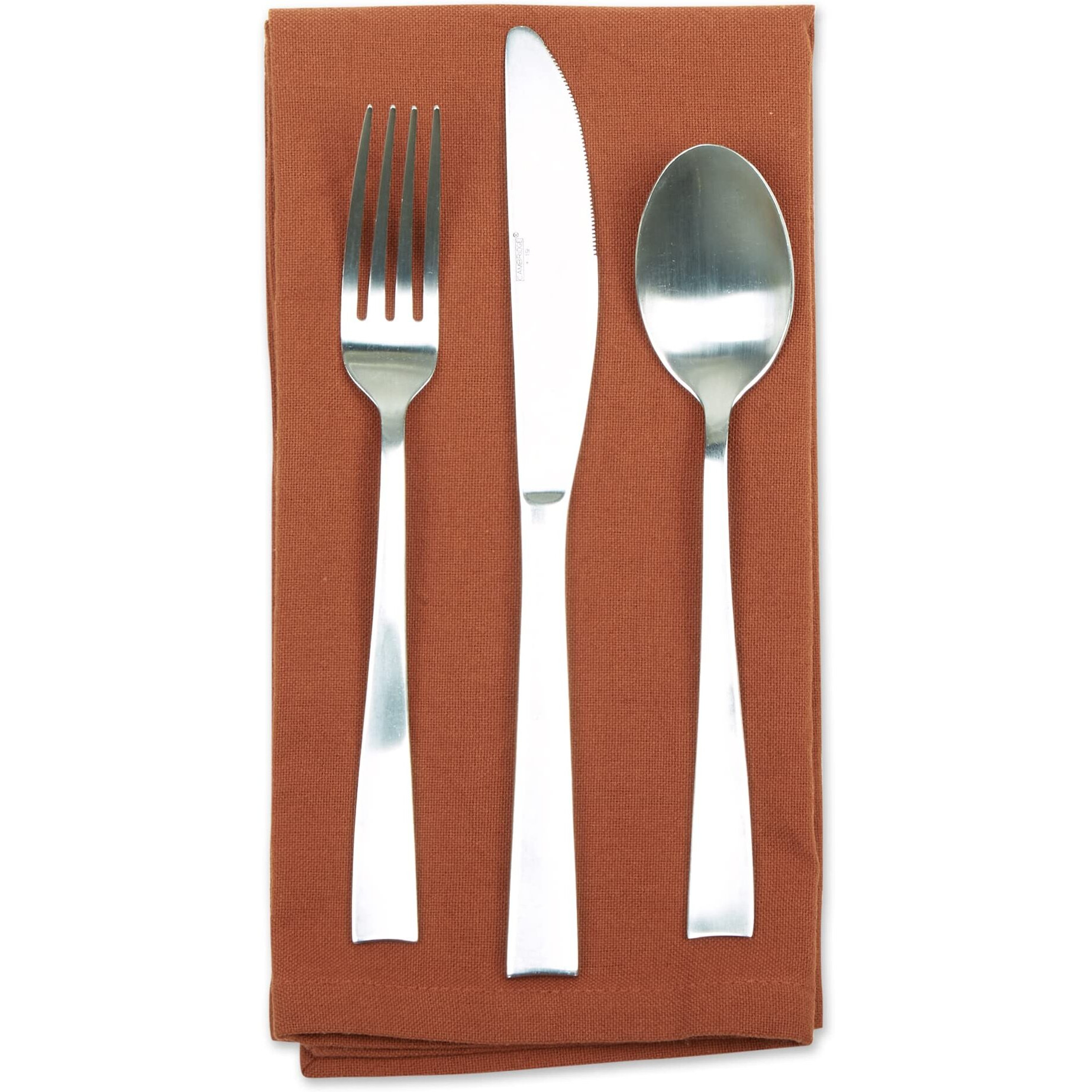 CINNAMON SOLID NAPKIN SET/6