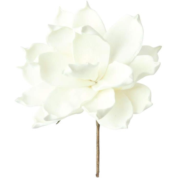 BOTANICA 36